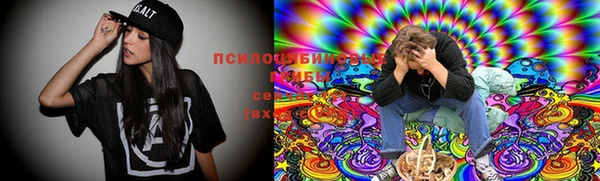 экстази Заводоуковск
